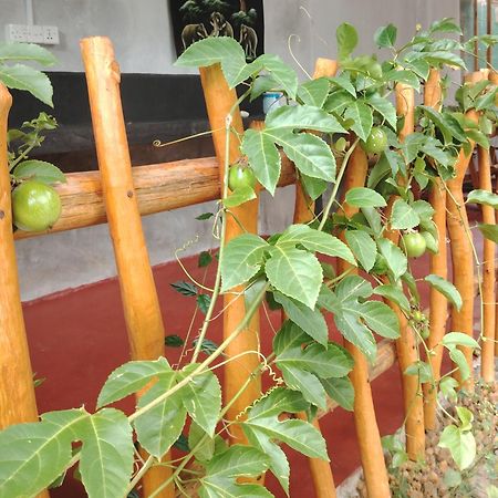 Nature Lovers Safari & Villa Udawalawe Exterior foto